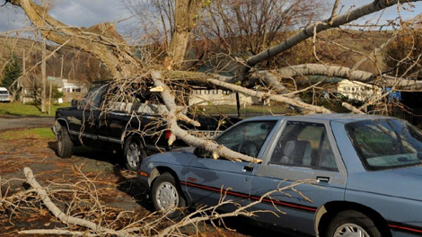 High winds knock trees, power lines down across Inland Northwest | krem.com