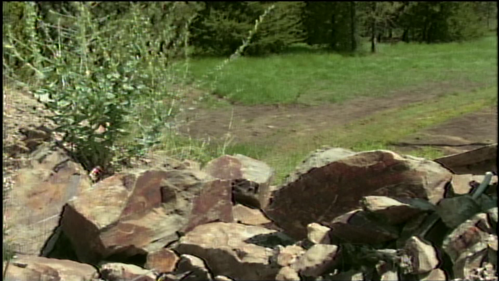 Study finds N. Idaho Superfund cleanup is working