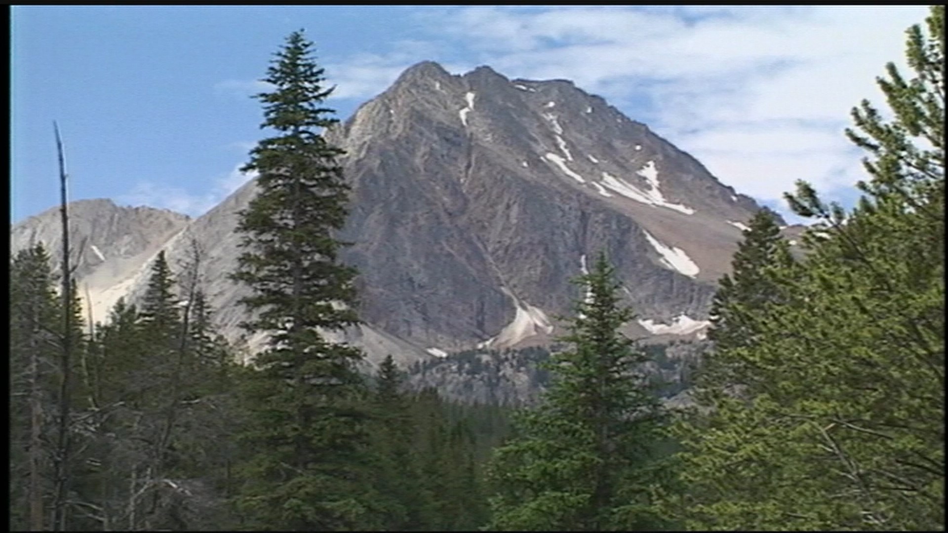 Illegal mountain biking a problem in Idaho Wilderness area