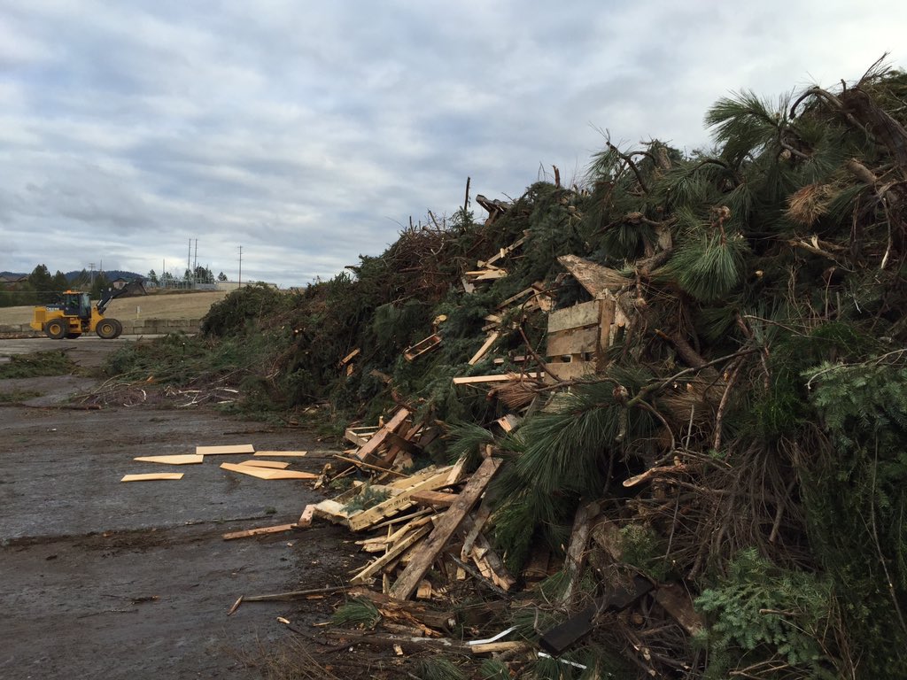 Storm debris costs Coeur dAlene waste $50k | krem.com