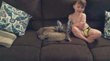 Oregon woman pranks husband with picture of son and coyote