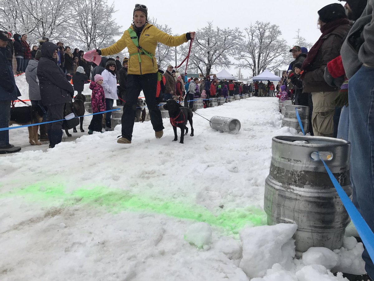 Dogs make a run for charity in Sandpoint K-9 Keg Pull | krem.com