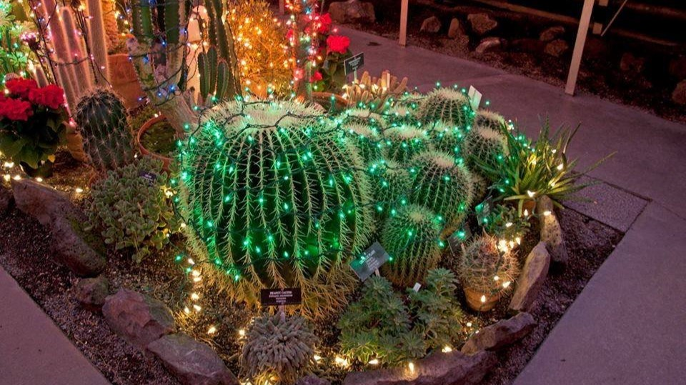 Manito Conservatory Christmas Lights 2022 Lights Return To Gaiser Conservatory At Manito Park For Christmas | Krem.com